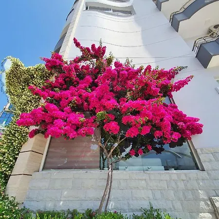 Joan Sarandë